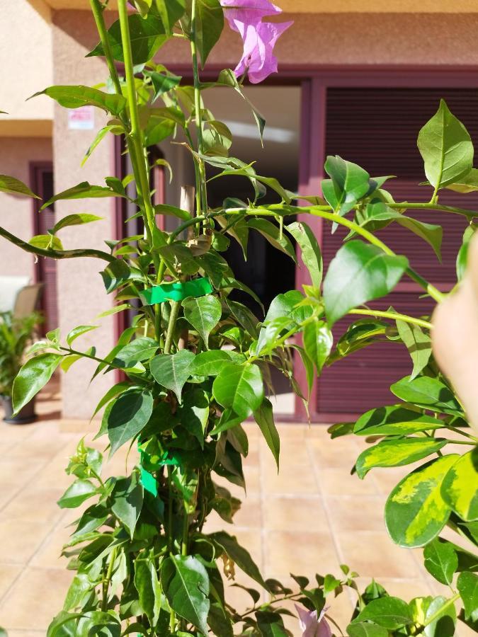 Vivienda Vacacional Compartida Radazul Acomodação com café da manhã Exterior foto