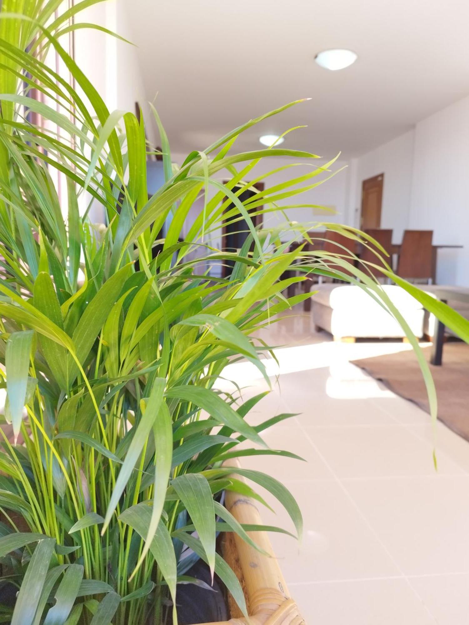 Vivienda Vacacional Compartida Radazul Acomodação com café da manhã Exterior foto